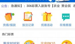 彩票爆料视频下载安装最新,最新视频下载与安装指南