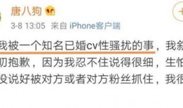 最新龙吟爆料消息是真的吗,最新消息真实性揭秘