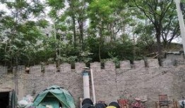 开封龙亭北路最新爆料,繁华再现！