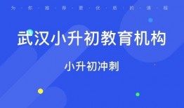 武汉小升初最新爆料,揭秘2023年升学政策与热门学校竞争态势