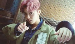 鹿晗最新爆料视频,最新爆料视频背后的故事与感悟