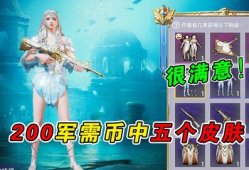 军需新皮肤最新爆料试水,揭秘神秘设计背后的故事