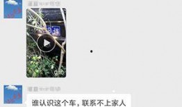 聊城负面新闻爆料事件最新,揭开背后真相，探寻事件真相与影响