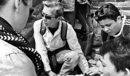 凉山紫英最新爆料事件,揭秘事件背后惊人真相