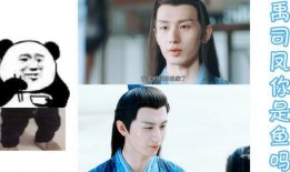 成毅主播爆料最新消息视频,揭秘娱乐圈幕后真相