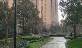 星河湾小区最新爆料,揭秘豪宅背后的惊人真相