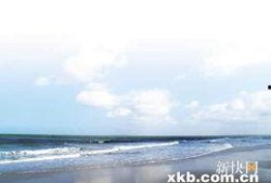 海阔天空最新大爆料,最新爆料揭示娱乐圈惊天秘密